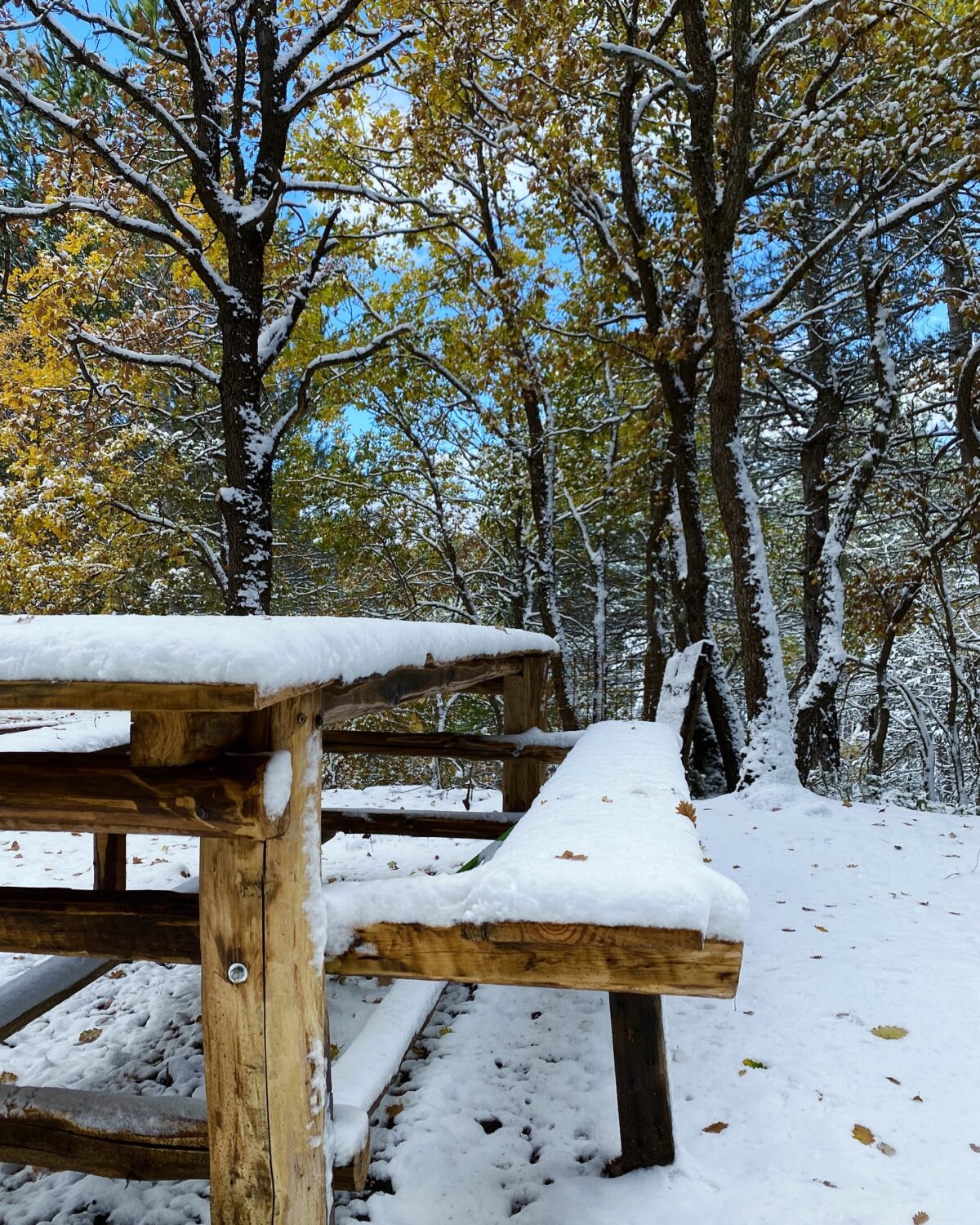 neve etna