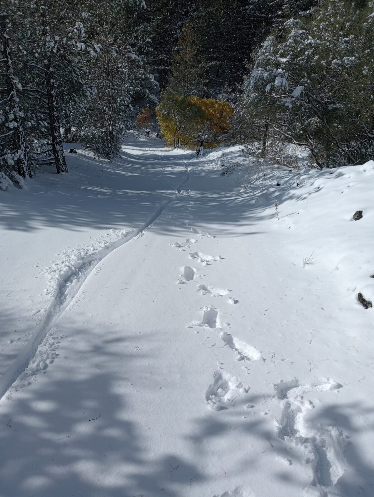 neve etna