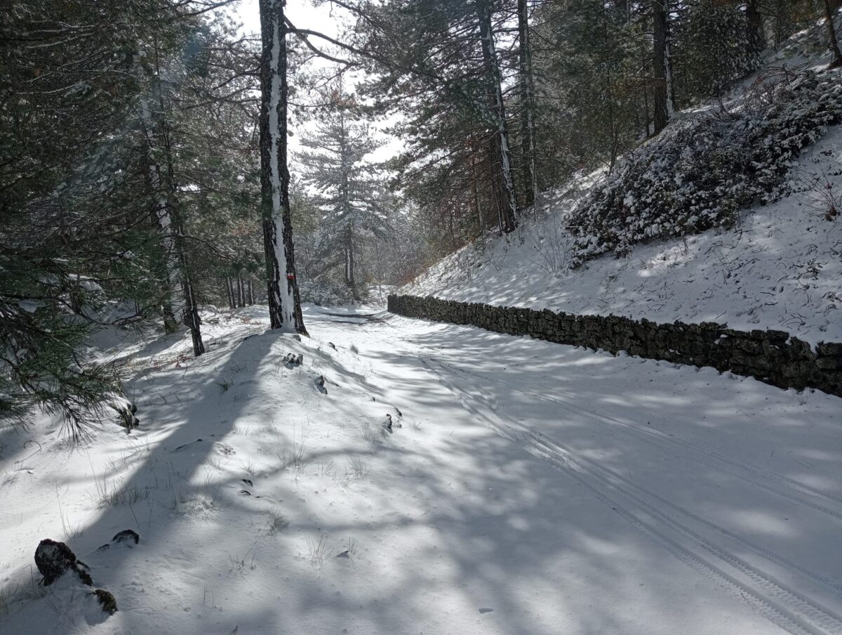 neve etna