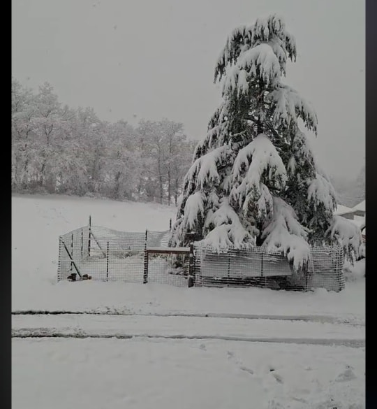 neve oltrepò pavese lombardia