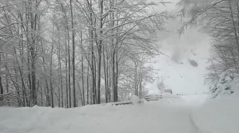 neve passo delle radici emilia romagna