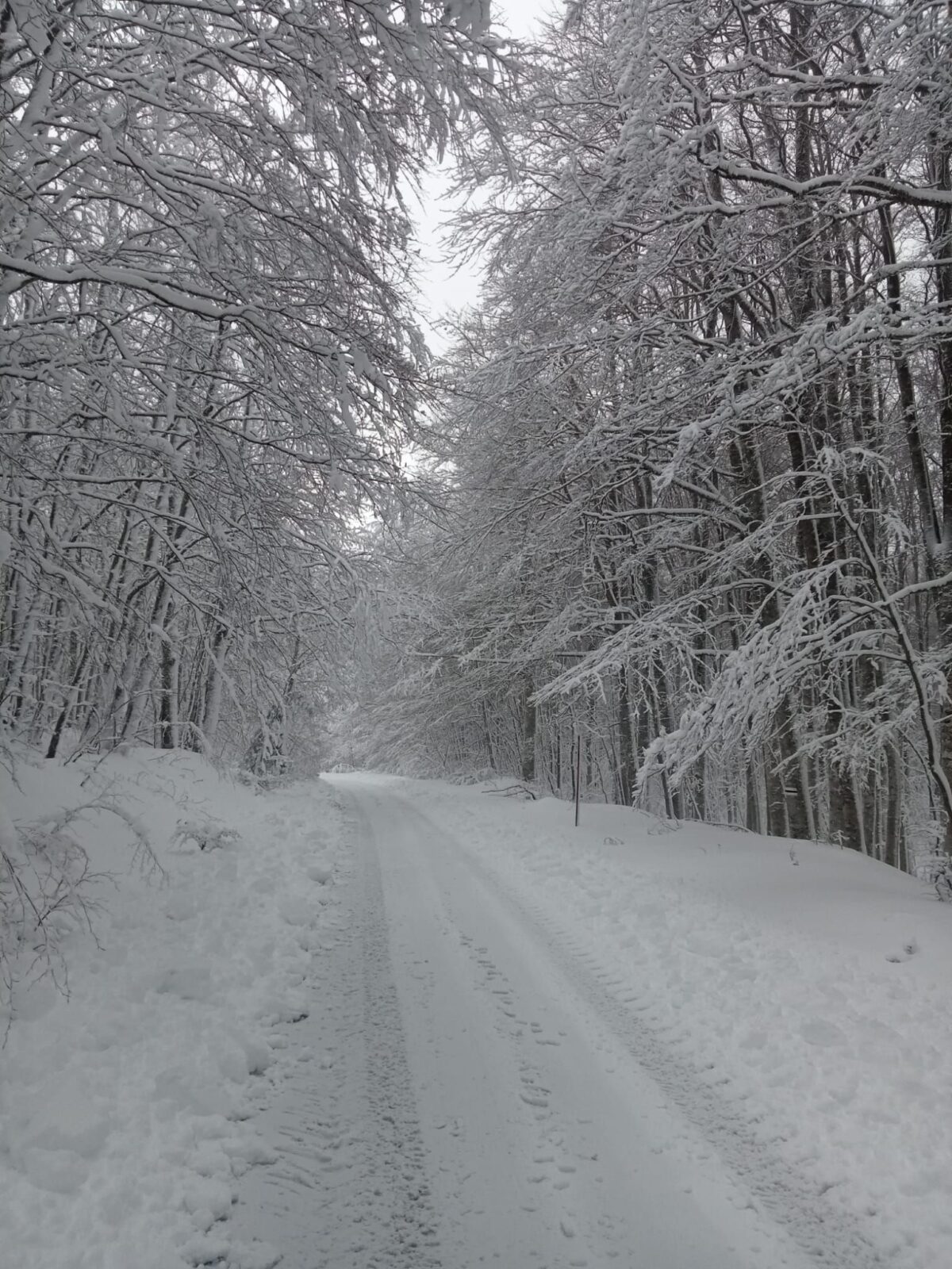 neve sila calabria