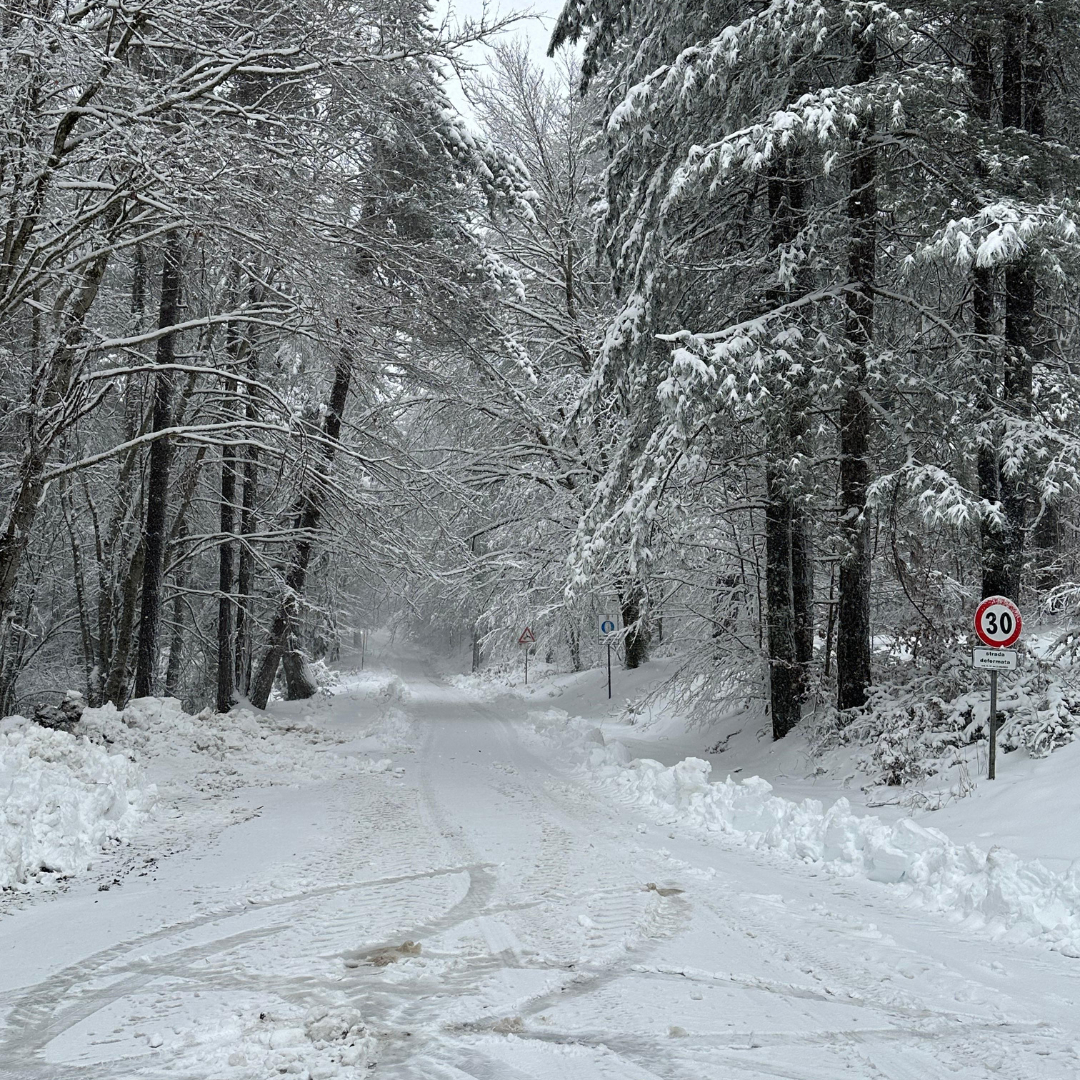 neve sila calabria