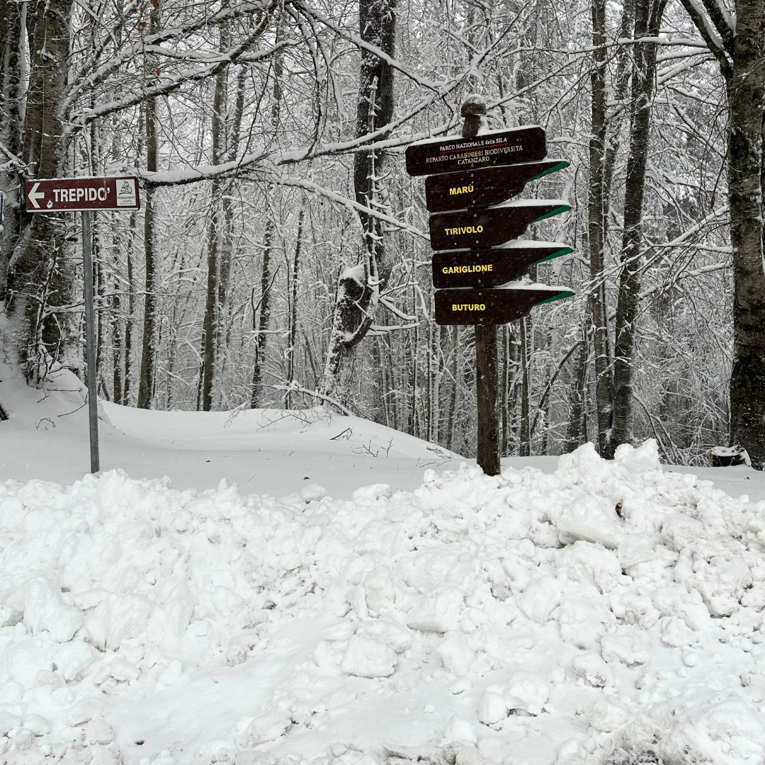 neve sila calabria