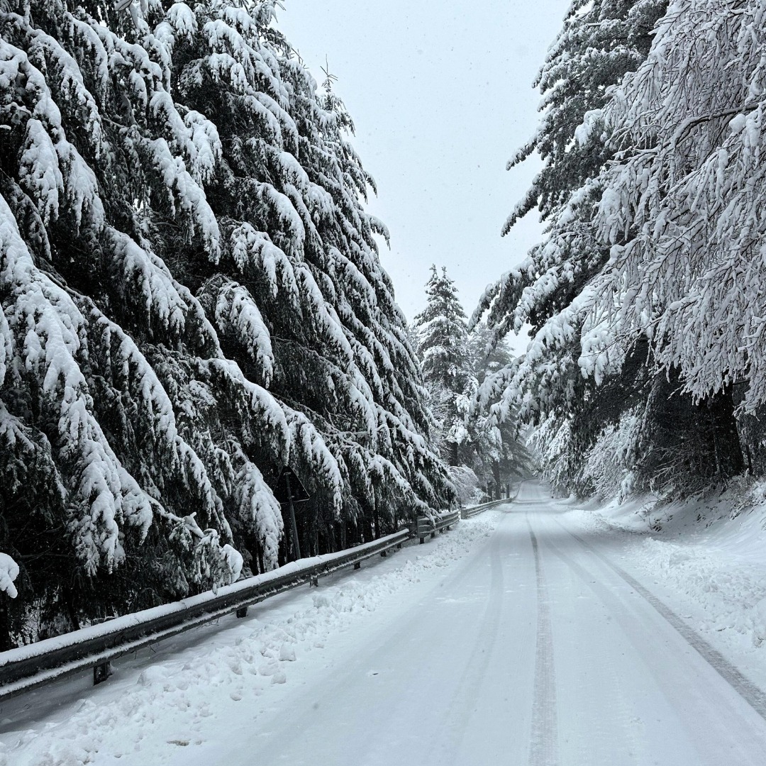 neve sila calabria