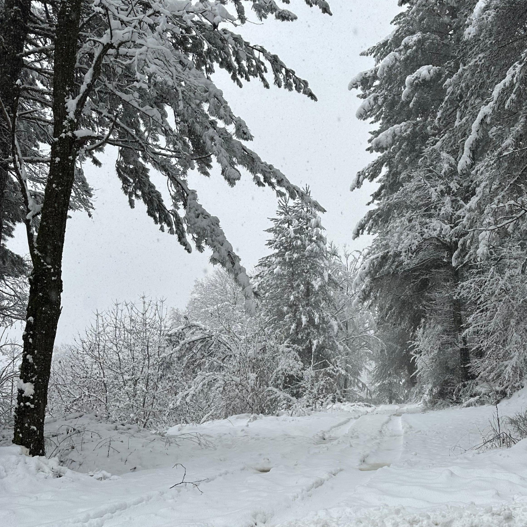 neve sila calabria