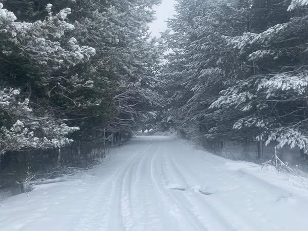 neve sila calabria