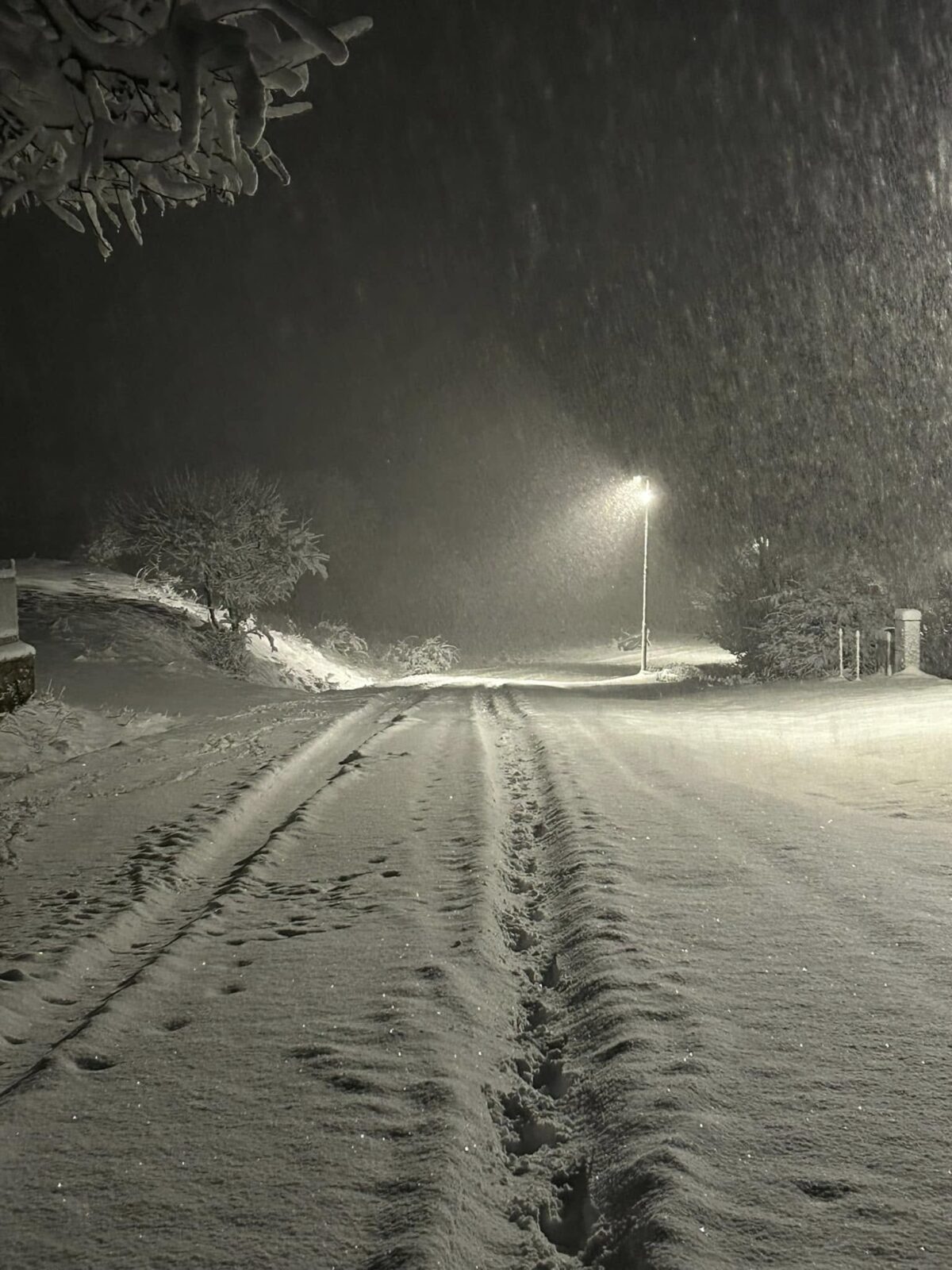 neve toscana