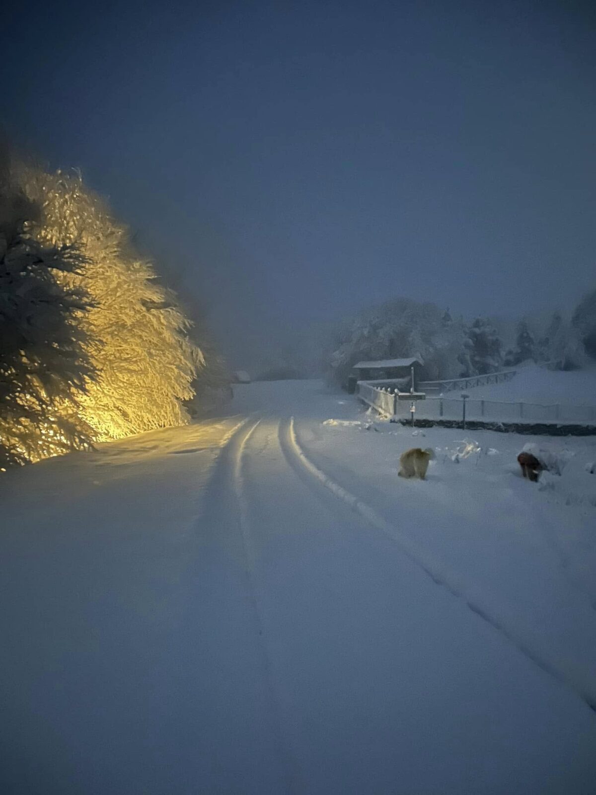 neve toscana