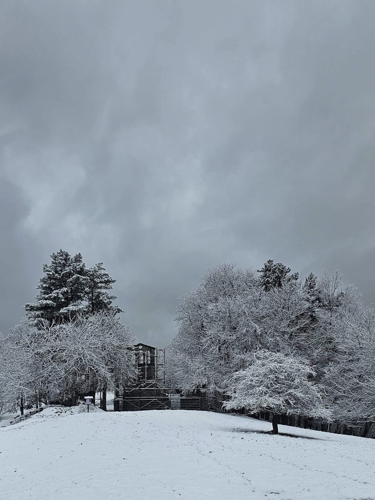 neve toscana