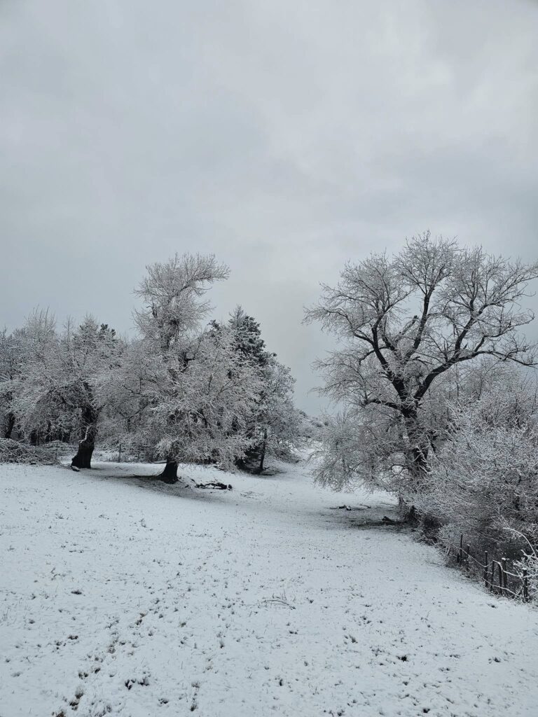 neve toscana