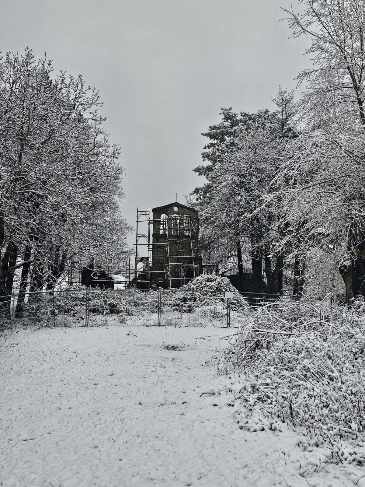 neve toscana