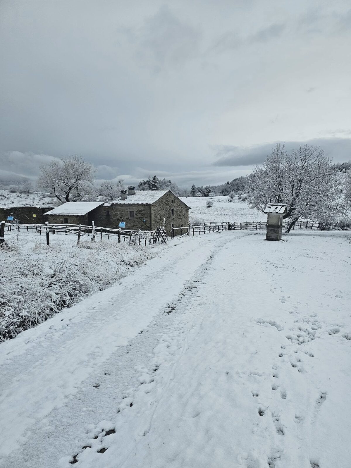 neve toscana