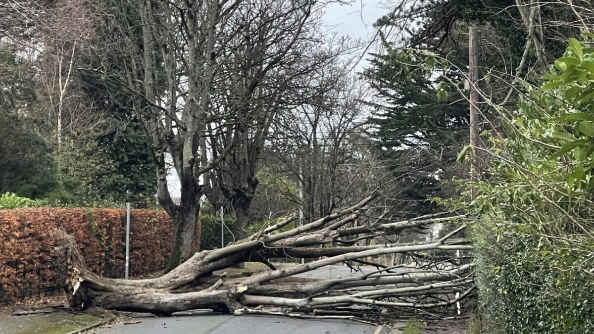 tempesta darragh irlanda