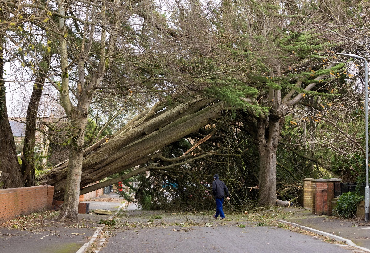 tempesta darragh regno unito