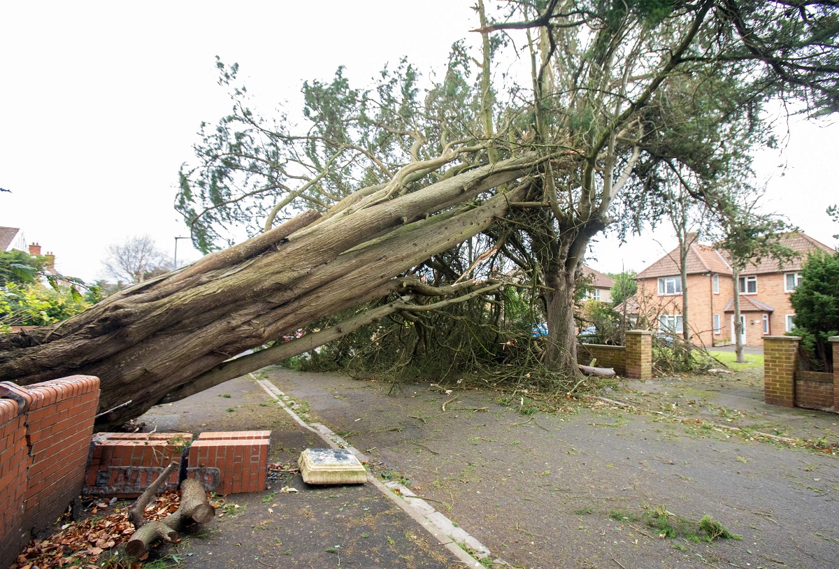 tempesta darragh regno unito