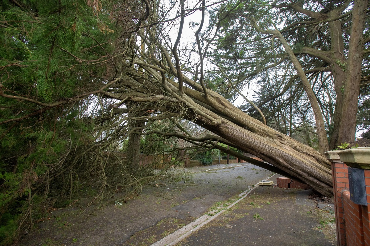 tempesta darragh regno unito