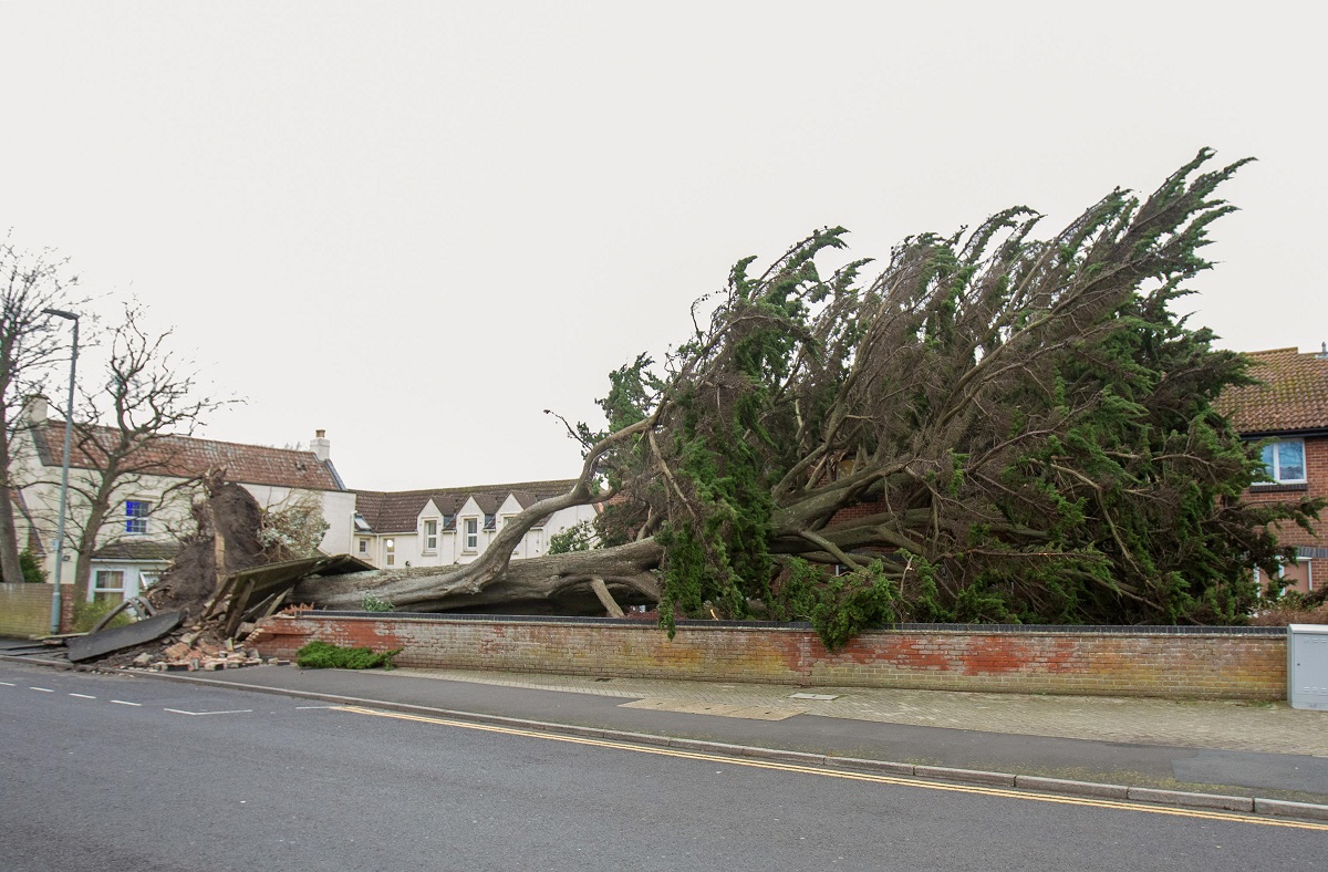 tempesta darragh regno unito