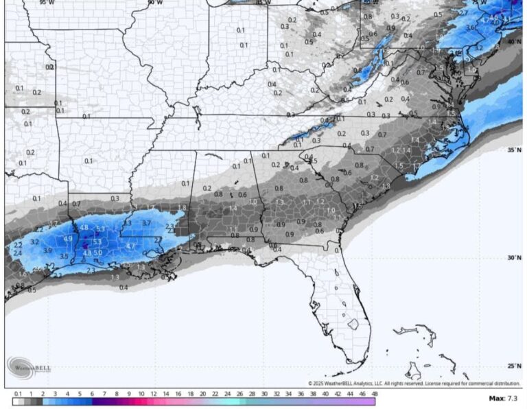 Neve prevista in Florida