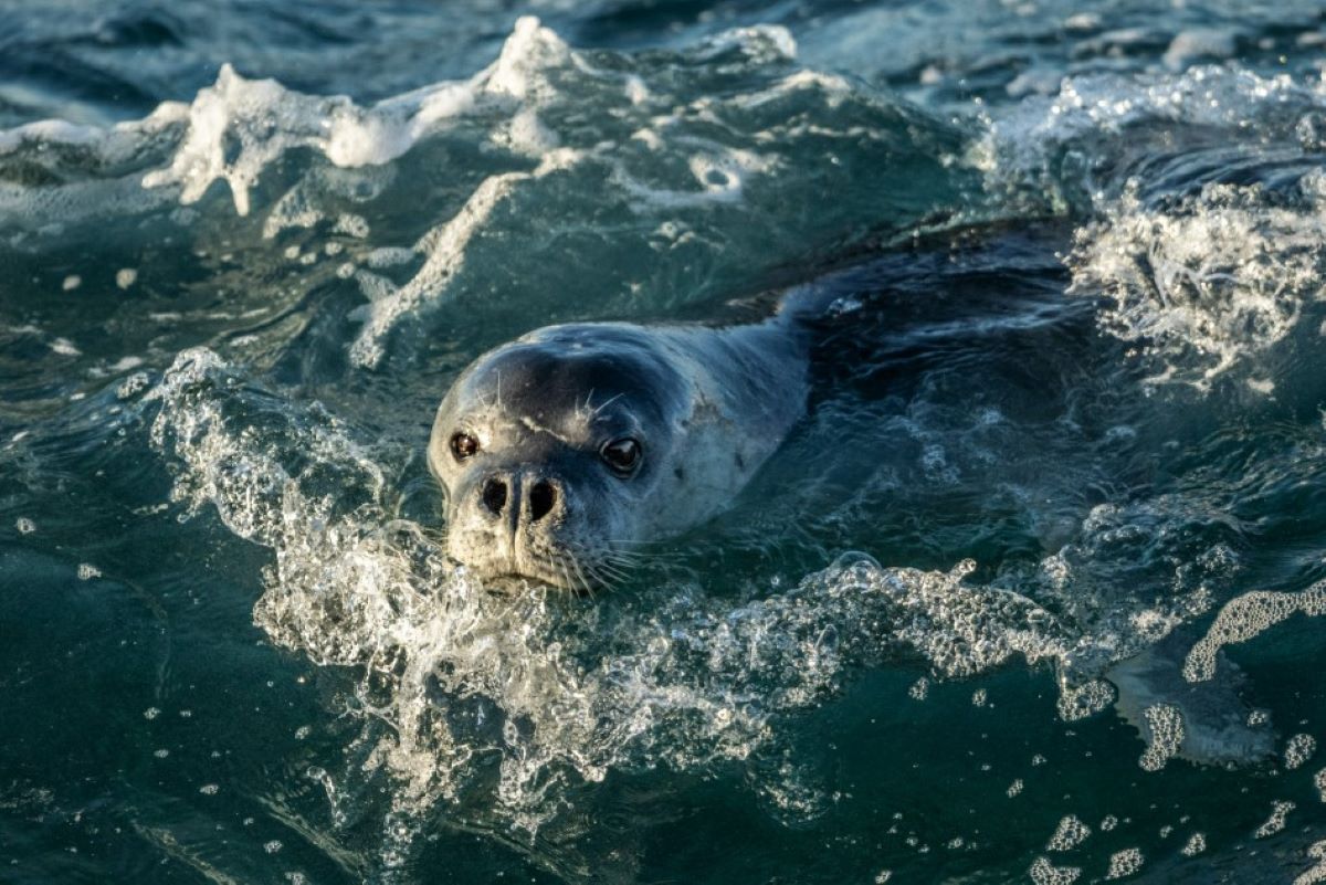 mostra National Geographic Italia