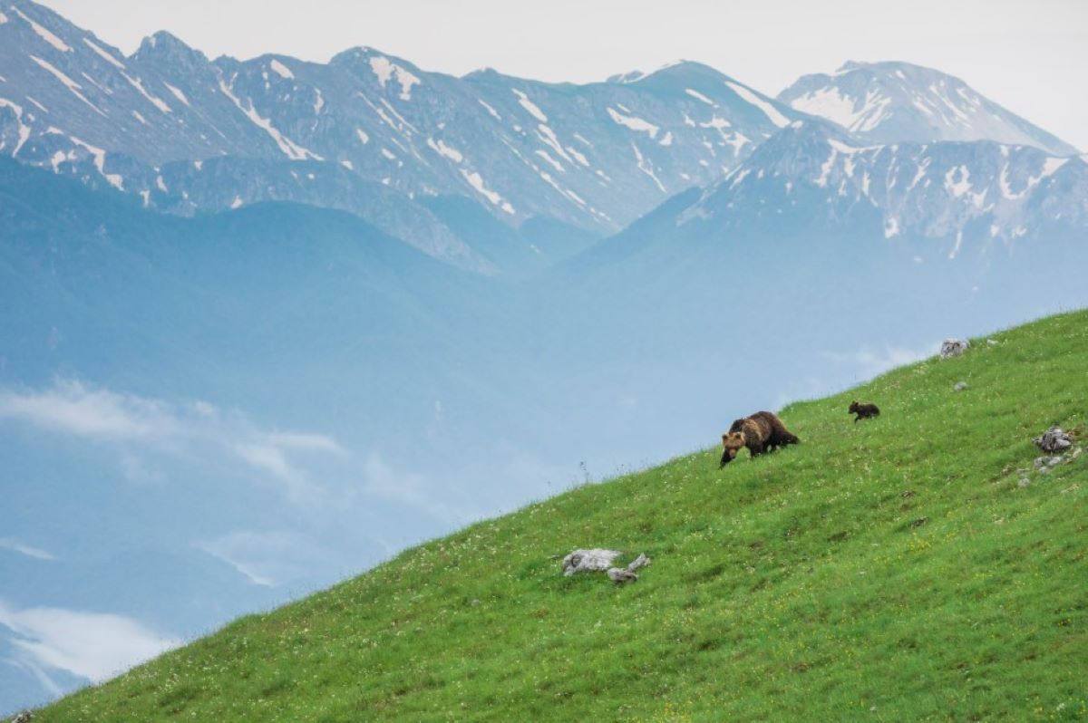 mostra National Geographic Italia