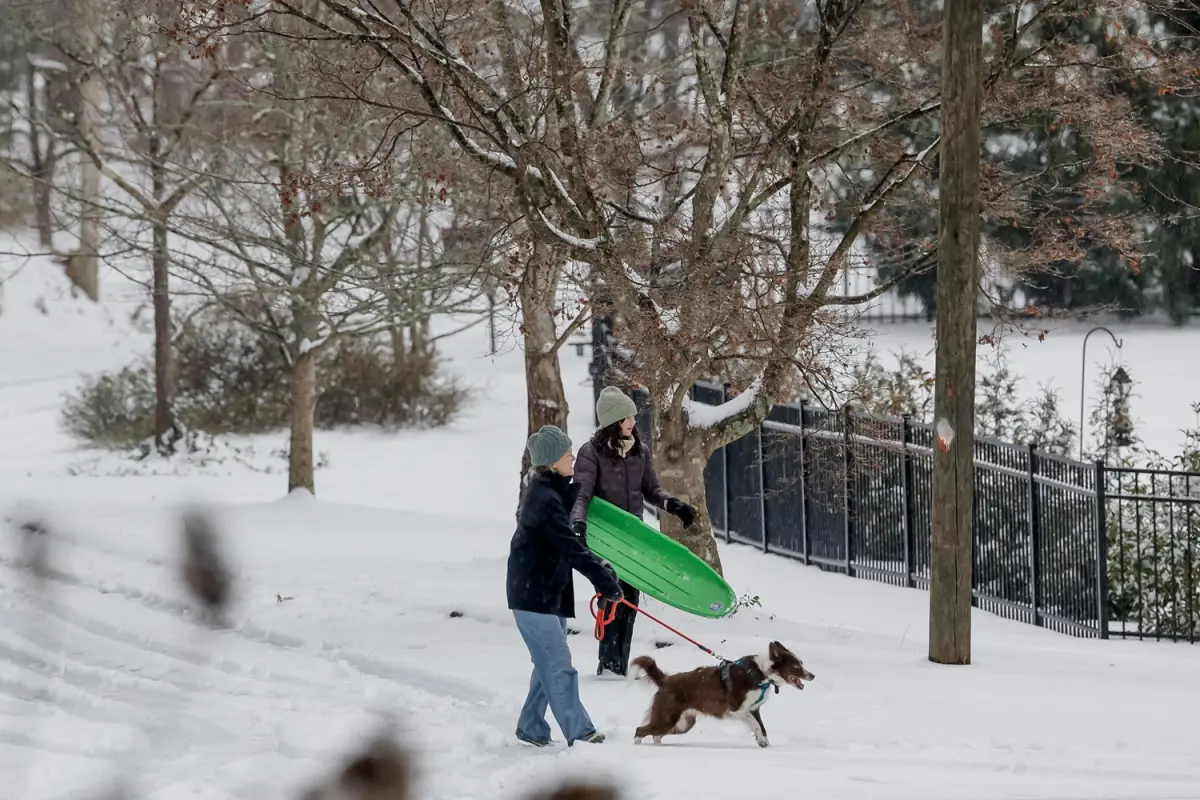 neve georgia usa