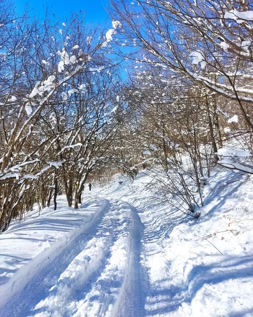 neve liguria