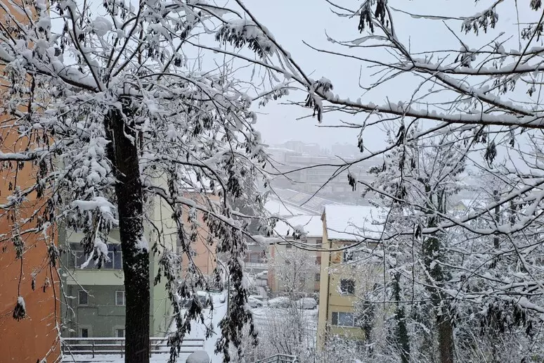 neve maltempo basilicata potenza