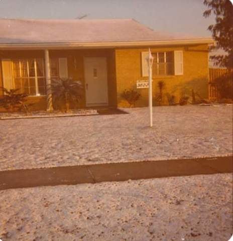 neve miami 19 gennaio 1977 (3)