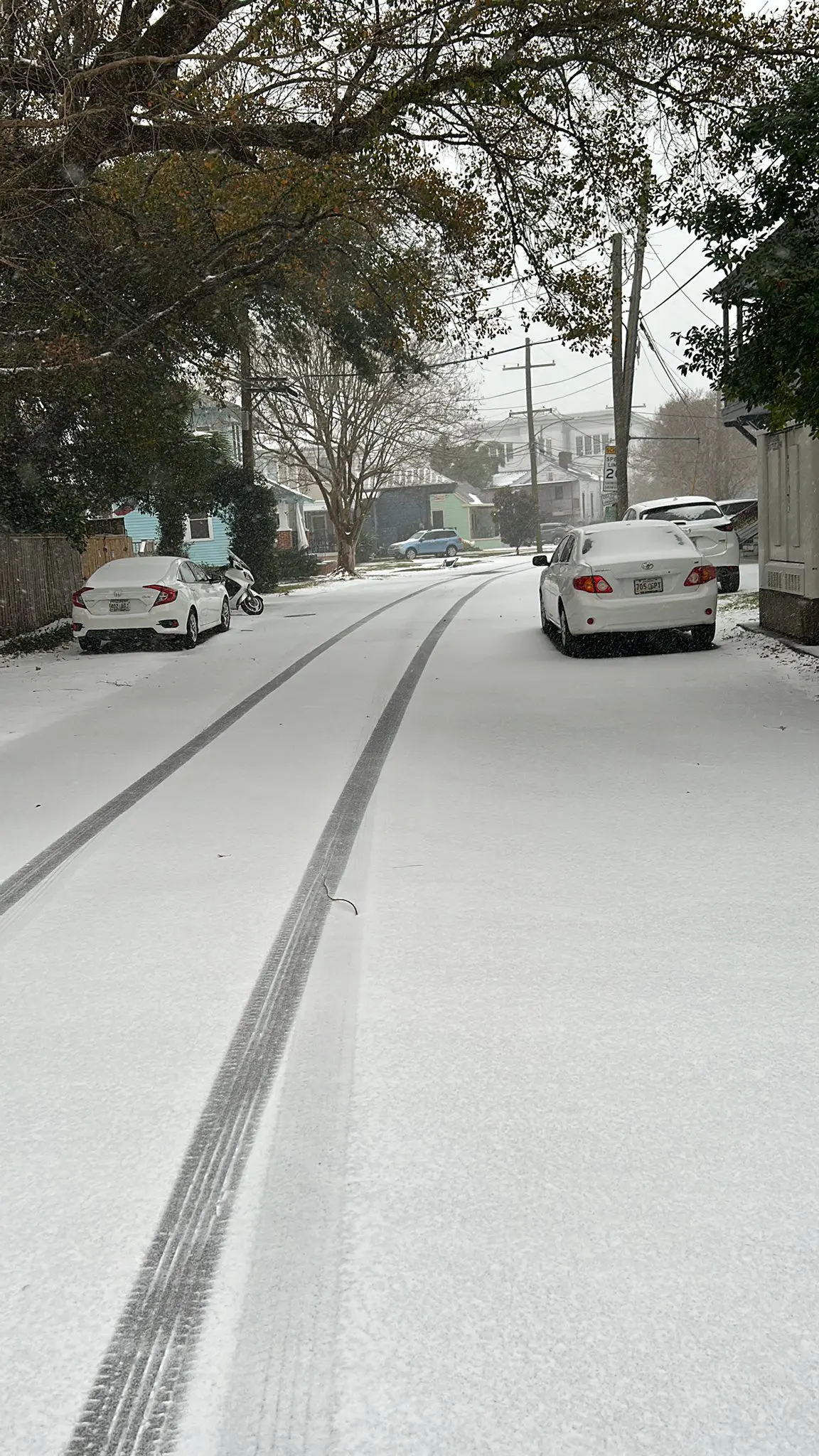 neve new orleans usa