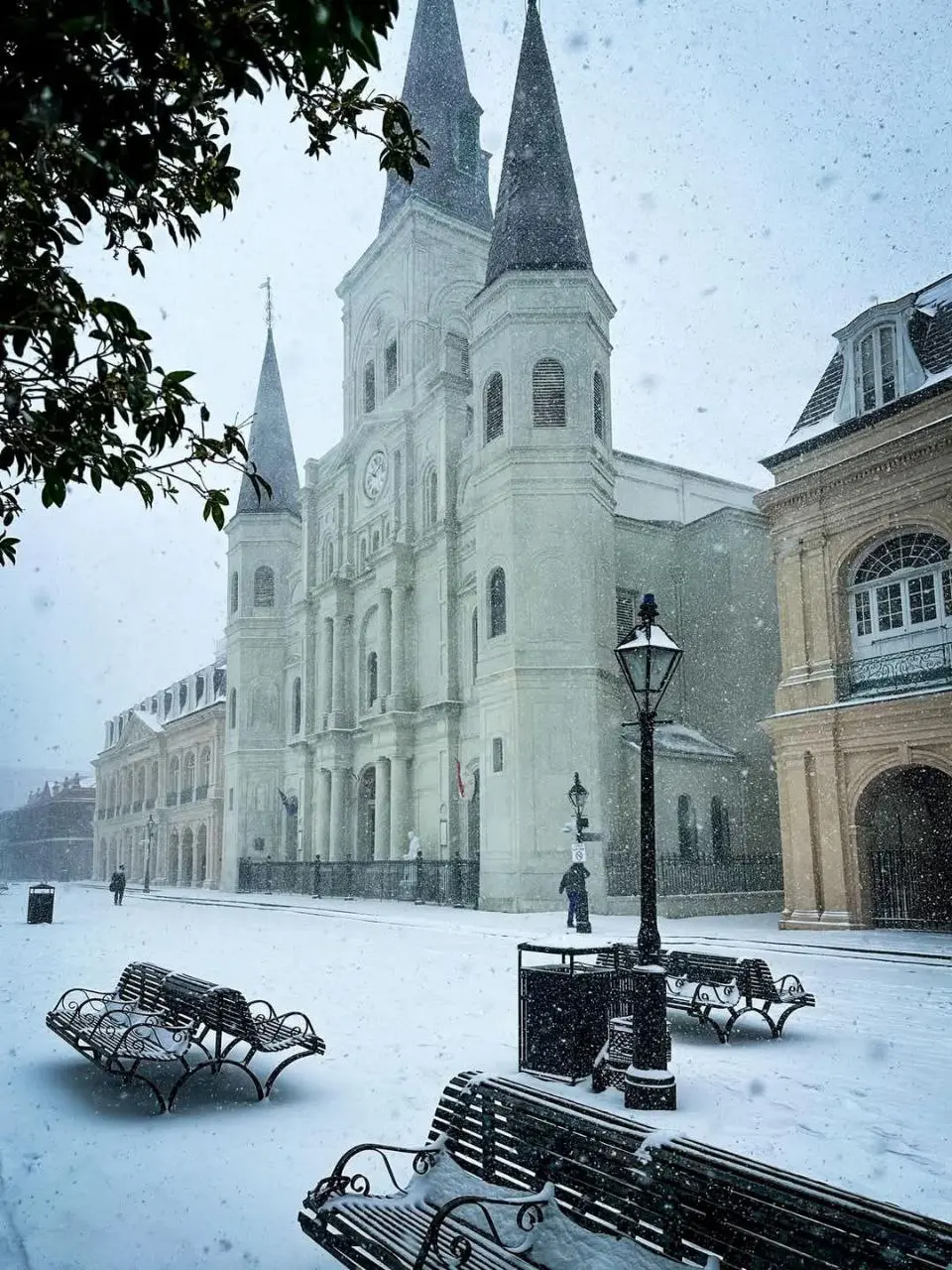 neve new orleans