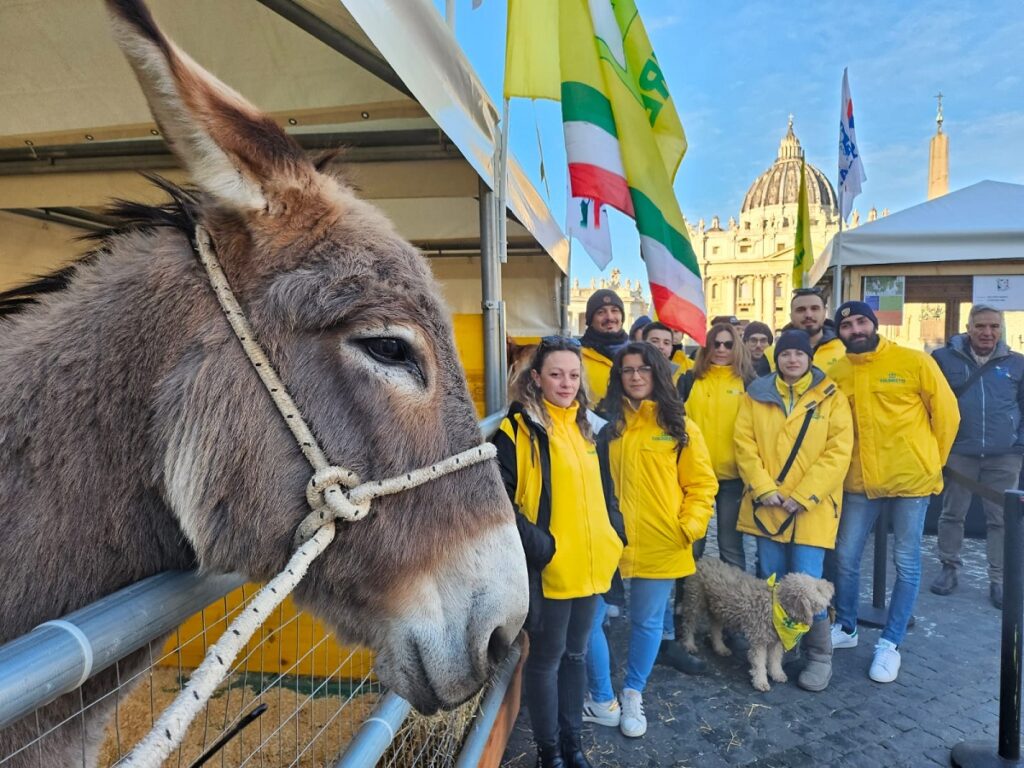 sant'antonio abate animali