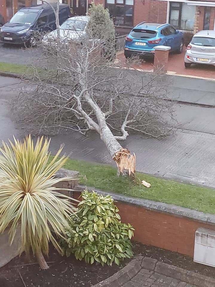 tempesta Éowyn irlanda regno unito