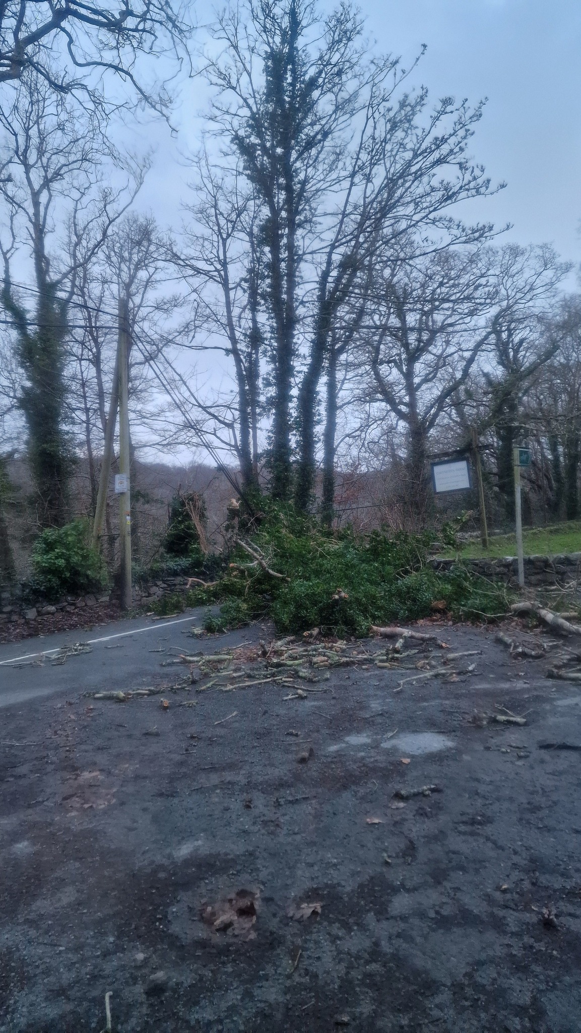 tempesta regno unito irlanda