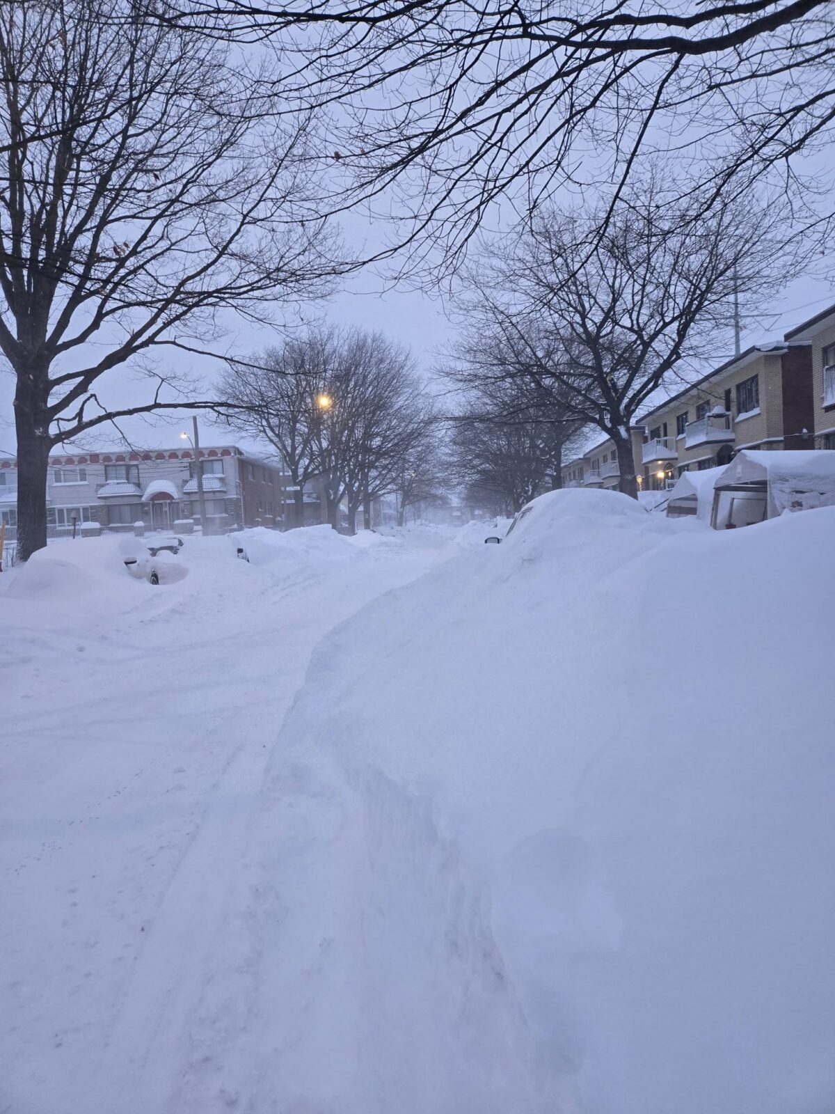 Maltempo Canada, Montreal sommersa dalla neve FOTO, VIDEO