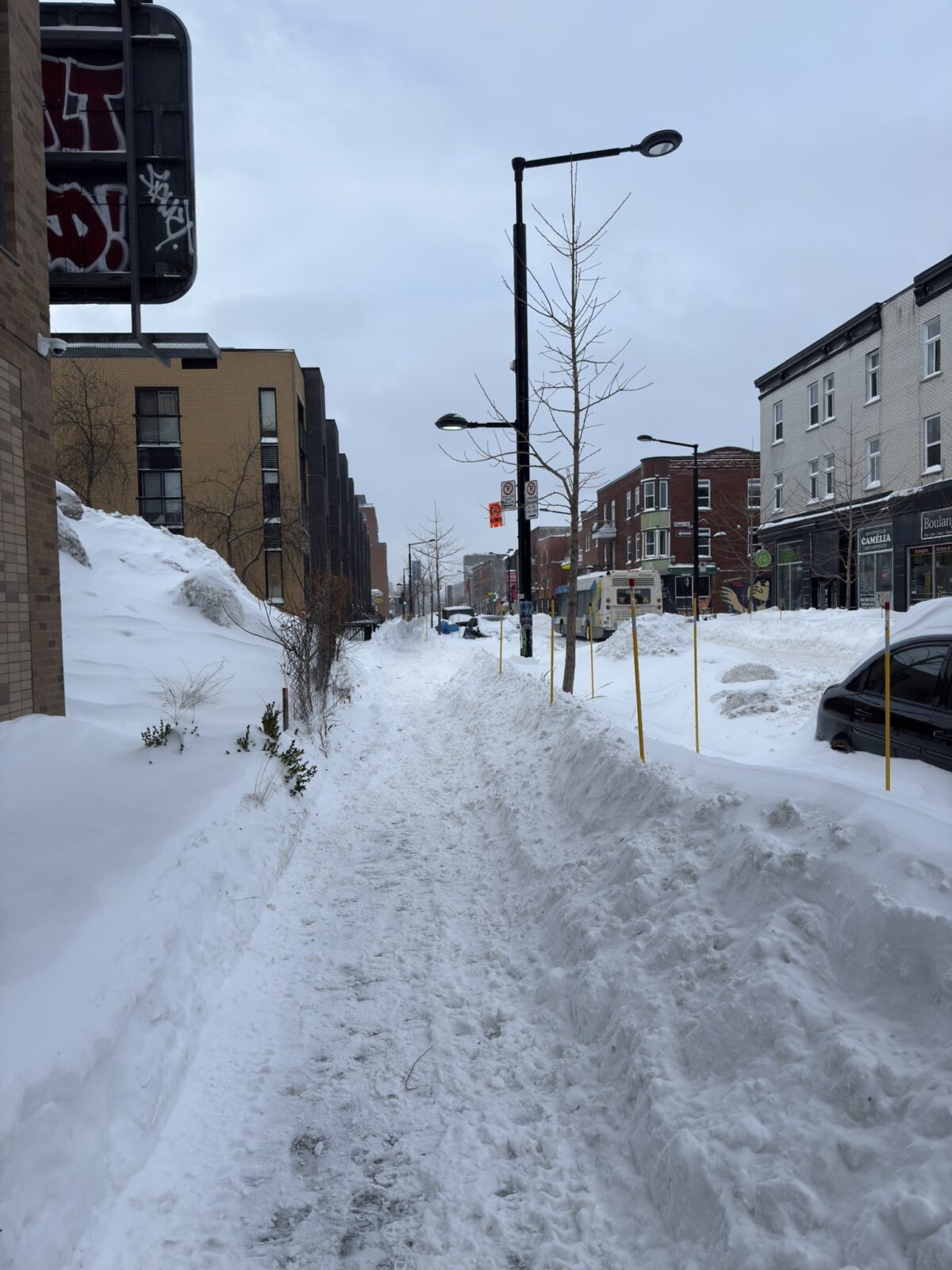 Maltempo Canada, Montreal sommersa dalla neve FOTO, VIDEO